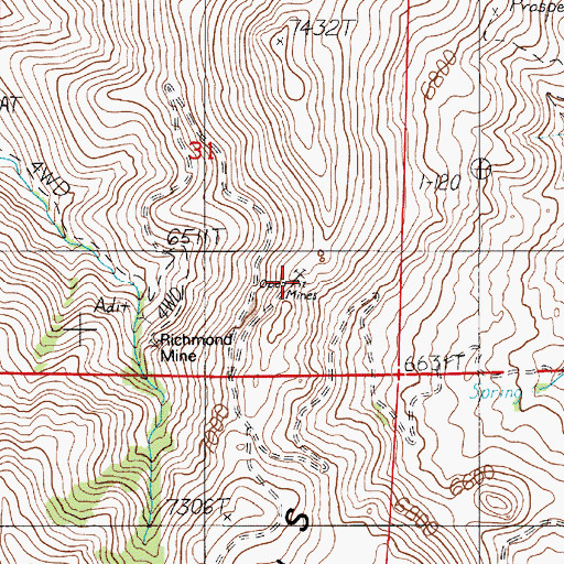 Topographic Map of Mountain King Mine, NV