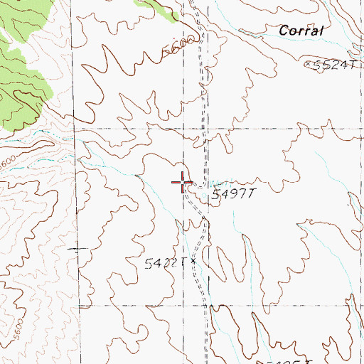 Topographic Map of Rock Springs Well, NV