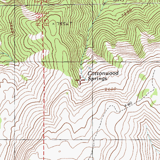 Topographic Map of Cottonwood Springs, NV