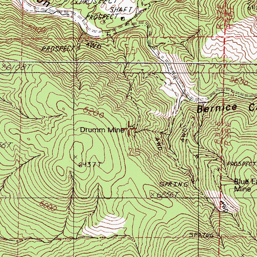 Topographic Map of Drumm Mine, NV