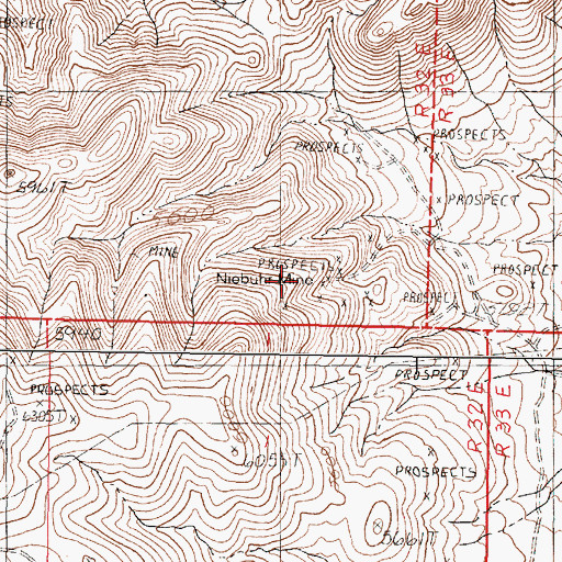 Topographic Map of Niebuhr Mine, NV