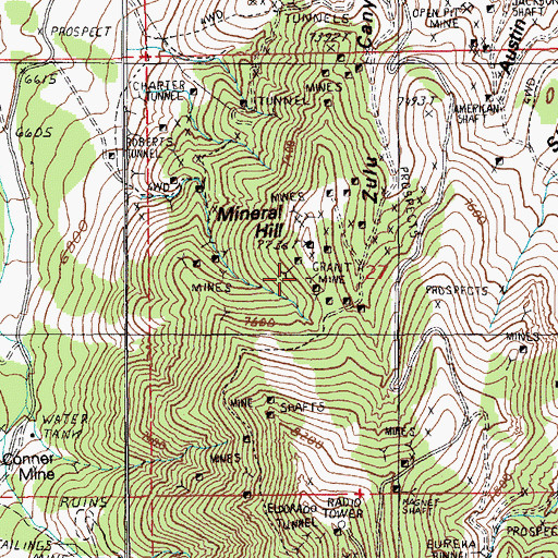 Topographic Map of Grant Mine, NV