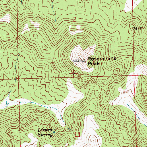 Topographic Map of Democracy Mine, NV