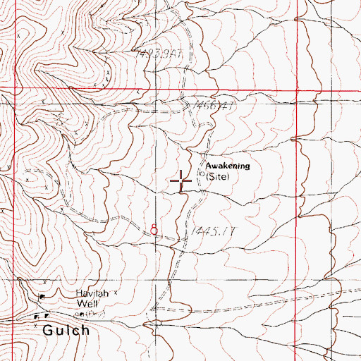Topographic Map of Awakening, NV
