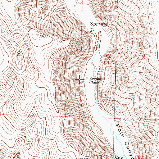 Topographic Map of Bernard Place, NV