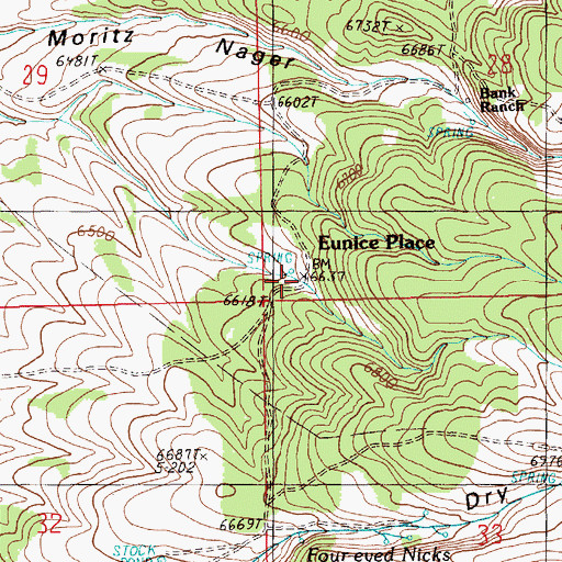 Topographic Map of Eunice Place, NV