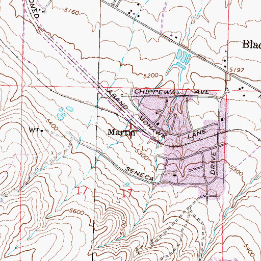 Topographic Map of Martin, NV