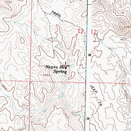 Topographic Map of Negro Ben Spring, AZ