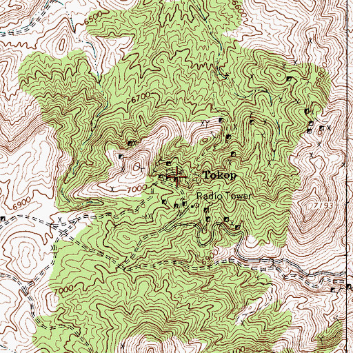 Topographic Map of Tokop, NV