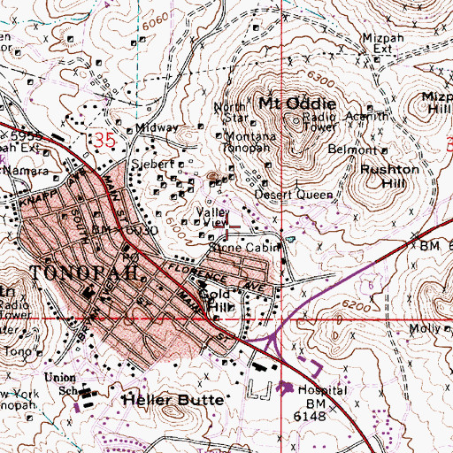 Topographic Map of Valley View, NV