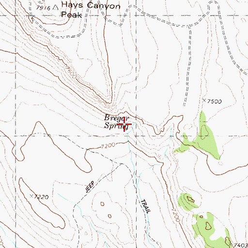 Topographic Map of Bregar Spring, NV