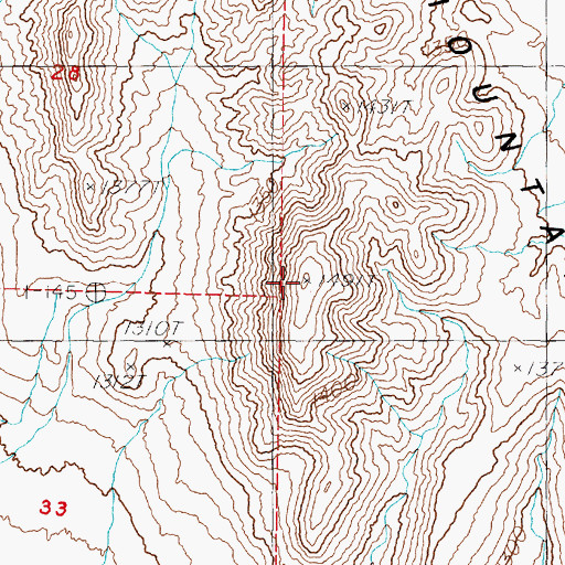 Topographic Map of Bunejug Mountains, NV