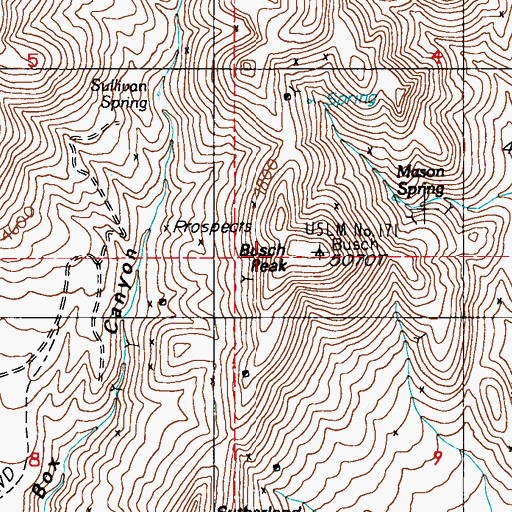 Topographic Map of Busch Peak, NV