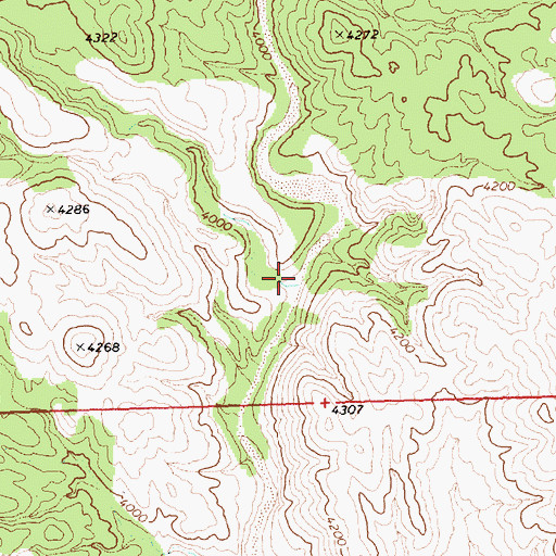 Topographic Map of Cottonwood Creek, NV