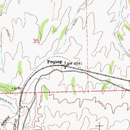 Topographic Map of Pequop, NV