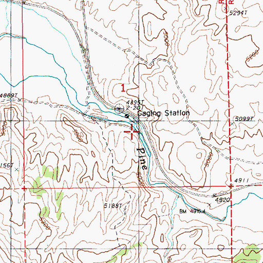 Topographic Map of Pine Valley, NV