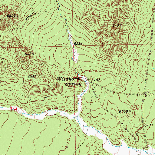 Topographic Map of Wildhorse Spring, NV