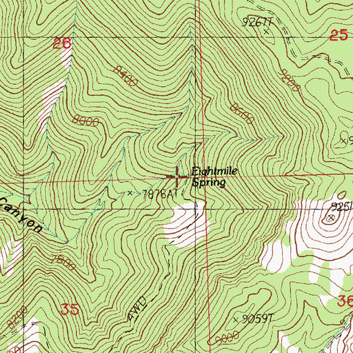 Topographic Map of Eightmile Spring, NV