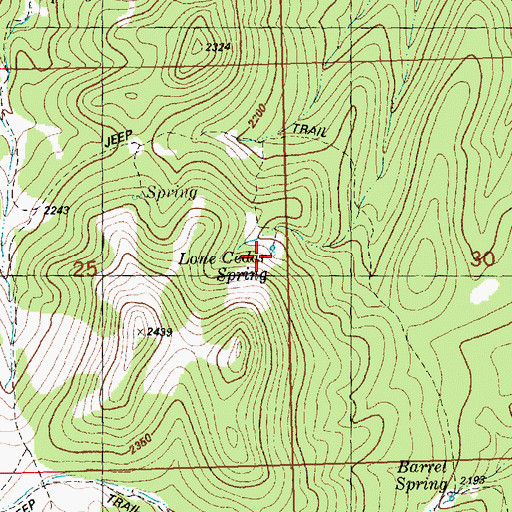 Topographic Map of Lone Cedar Spring, NV