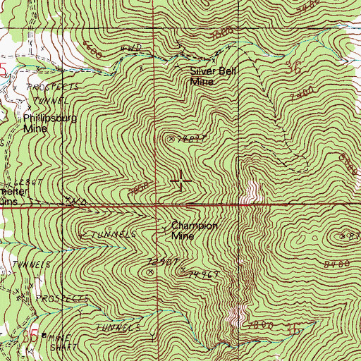 Topographic Map of Diamond Mining District, NV
