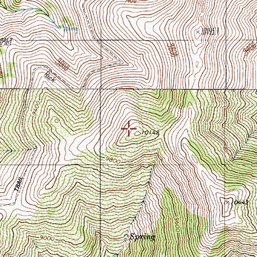 Topographic Map of Twin River Mining District, NV