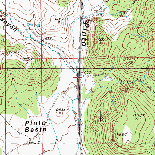 Topographic Map of Pinto (historical), NV
