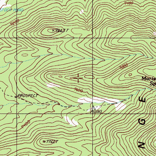 Topographic Map of Fish Creek Mining District, NV