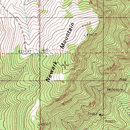Topographic Map of Newark Mining District, NV