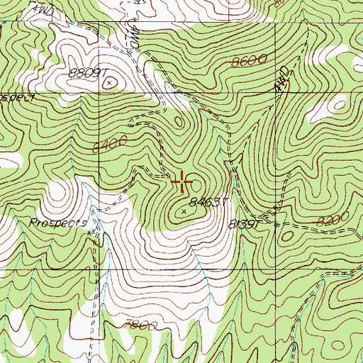 Topographic Map of Palmetto Mining District, NV