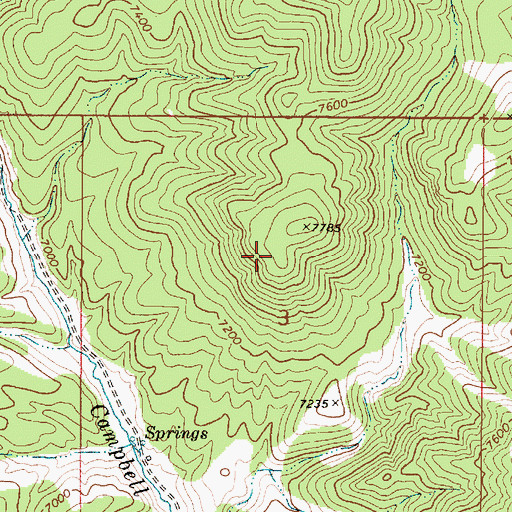 Topographic Map of Gold Basin Mining District, NV