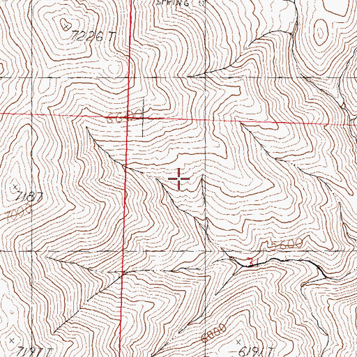 Topographic Map of Cottonwood Mining District, NV