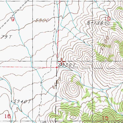 Topographic Map of Whisky Flat Mining District, NV