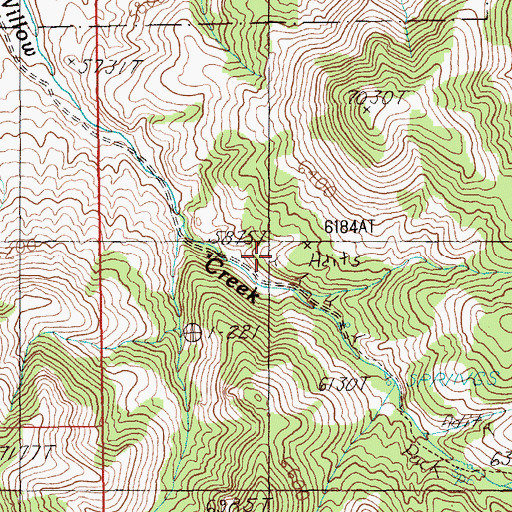 Topographic Map of Willow Creek Mine, NV