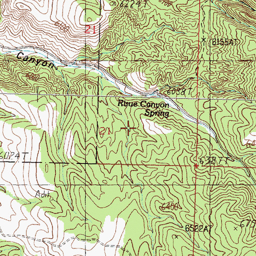 Topographic Map of Risue Mining District, NV