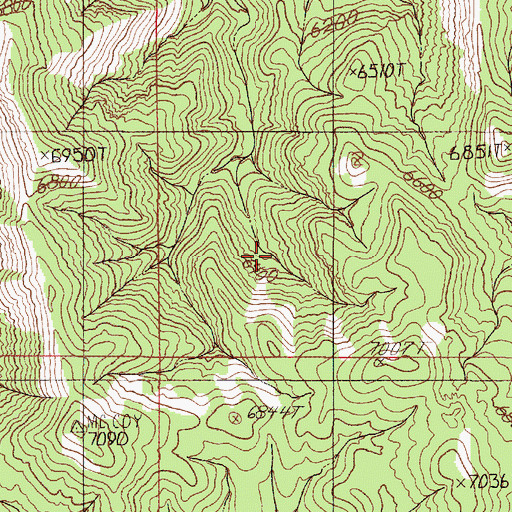 Topographic Map of Wild Horse Mining District, NV