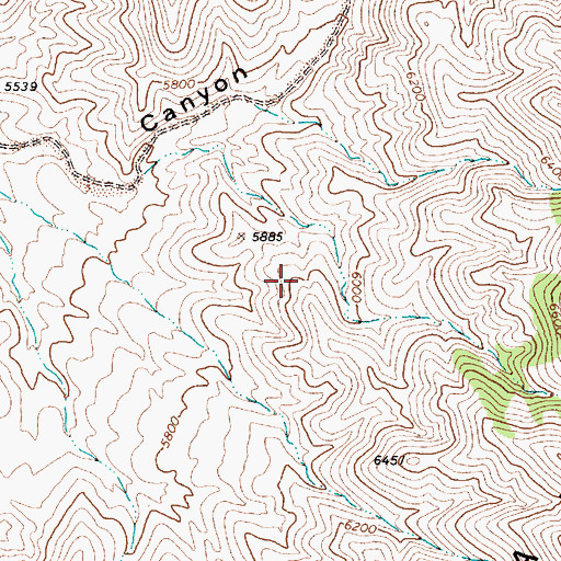 Topographic Map of Sheep Canyon Spring, NV
