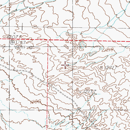 Topographic Map of Diamond Creek, NV