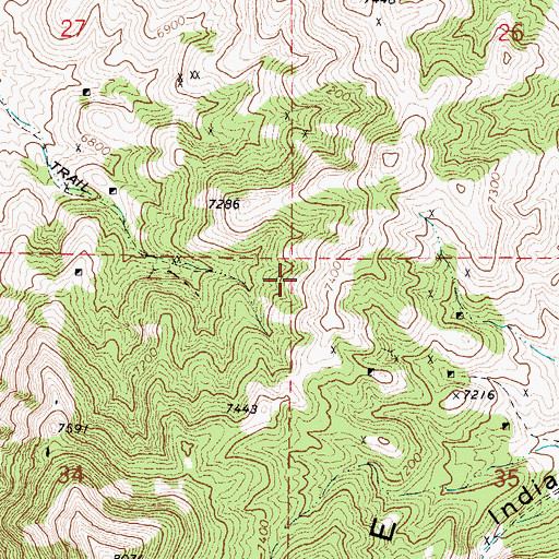 Topographic Map of Savage Mine, NV