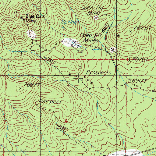 Topographic Map of Champion Mine, NV