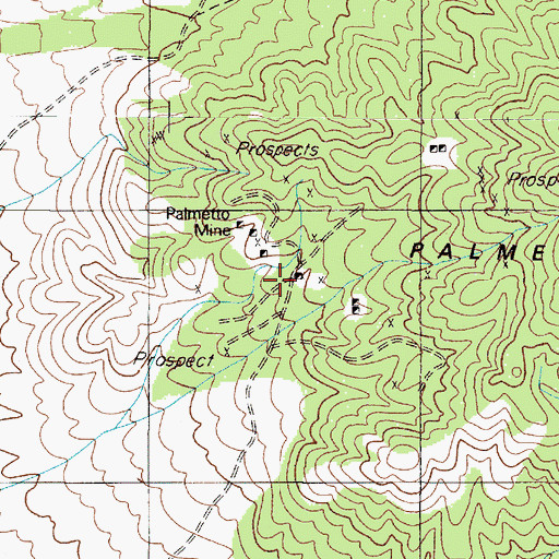Topographic Map of Carolina Mine, NV