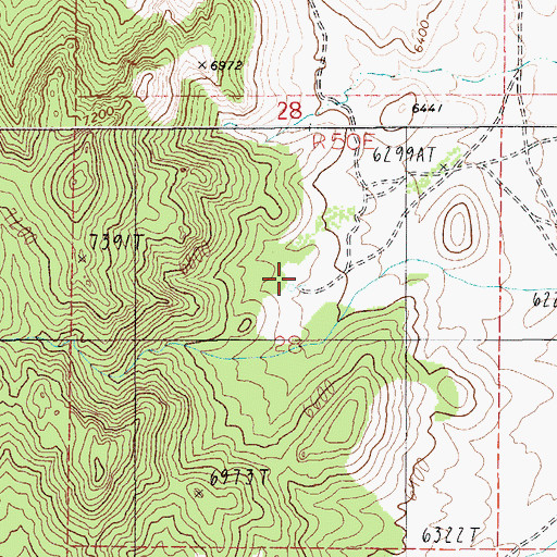 Topographic Map of Reveille Mill Spring, NV