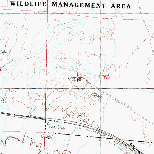 Topographic Map of Patua Hot Springs, NV