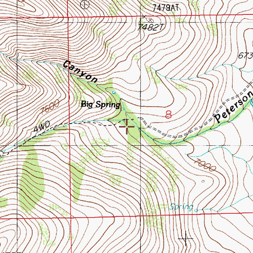 Topographic Map of Big Spring Creek, NV