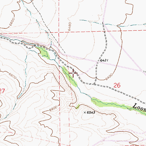 Topographic Map of Loomis Pasture, NV