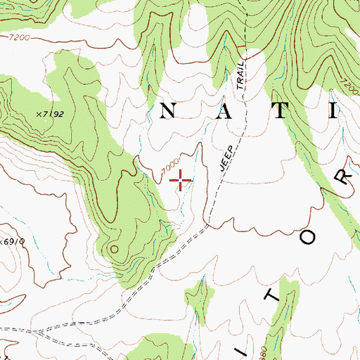 Topographic Map of Salisbury Spring, NV