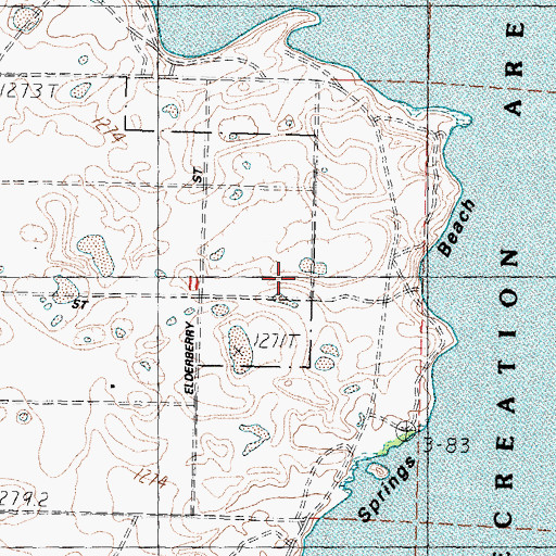 Topographic Map of Big Bend of the Carson, NV
