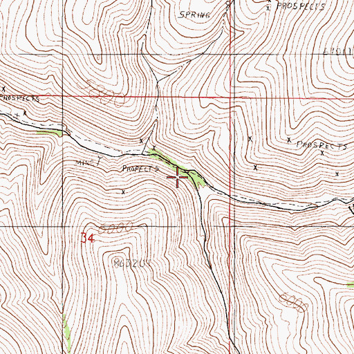 Topographic Map of Charles Young Ranch, NV