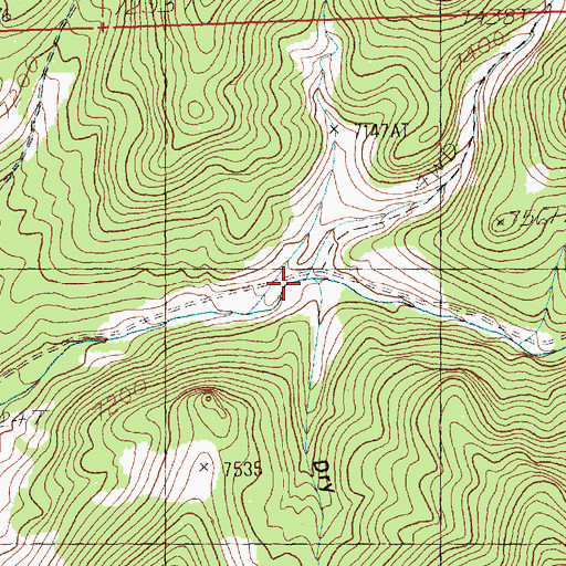 Topographic Map of Salt Creek, NV