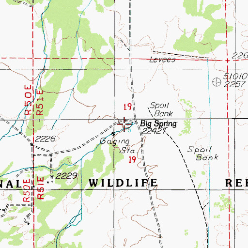 Topographic Map of Big Spring, NV