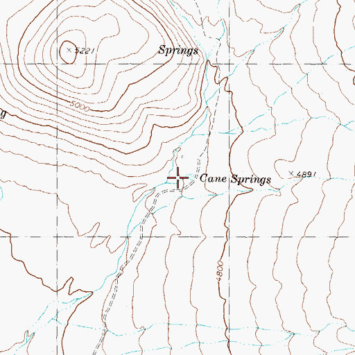 Topographic Map of Cane Springs, NV